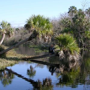 Meet your Posher, Maureen